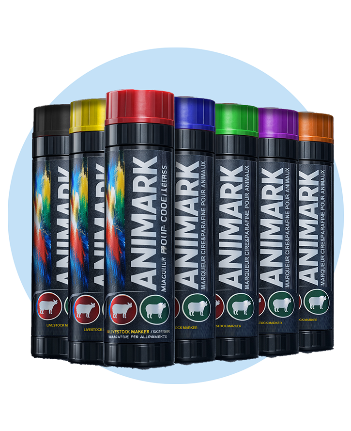 marqueur animark